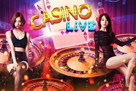 Red Stag Casino Live Betting